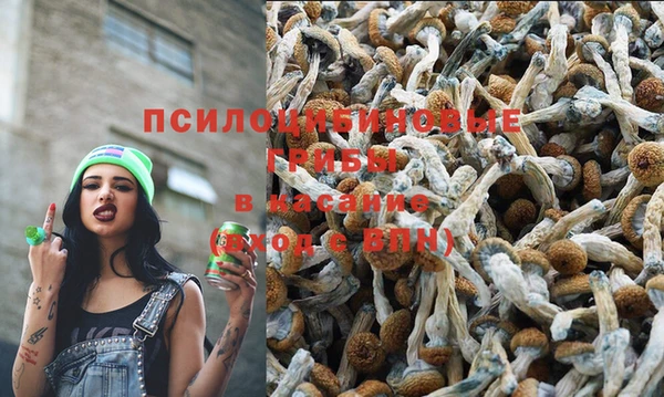 бошки Переславль-Залесский