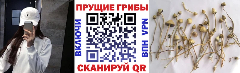 Галлюциногенные грибы Magic Shrooms  Кирс 